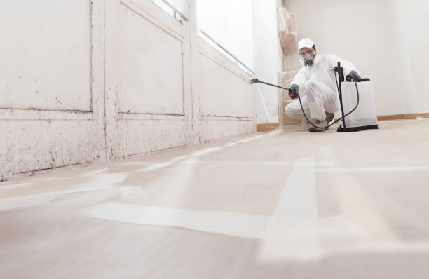 24/7 Emergency Attic Mold Removal experts in Woodstock, GA
